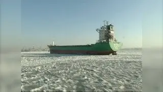 Towboats break sea ice in Liaodong Bay