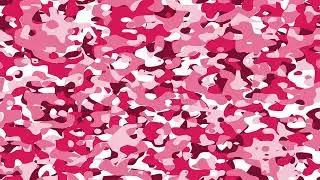 Ice Bird - Camo (Audio)