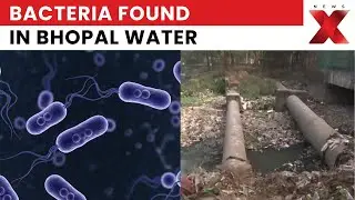 Bhopal Water Scare: Is Bhopal&rsquo;s Drinking Water Unsafe? Bacteria Found in Tube Well Samples