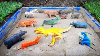 Cleaning Toy Animal Tiger, Dinosaur, Rhino, Bear, Cheetah, Deer, Zebra, Horsh - Animal Toys 