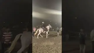 Rewal manoranjan Tapi horse show