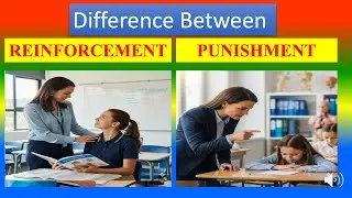 Differences Between Reinforcement and  Punishment