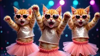 The Cutest Kitten Dance Drama 🐾 | Synchronized Dance Moves