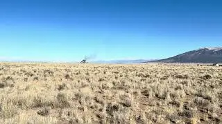 IMG 0250