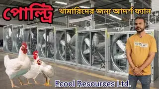 পোল্ট্রি খামারিদের জন্য আদর্শ ফ্যান ২০২৬। পোল্ট্রি খামারের অ্যামোনিয়া গ্যাস বাহির করুন নিমিষেই।