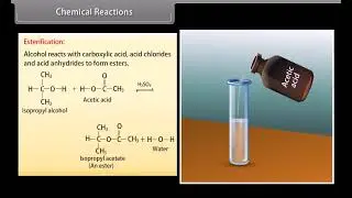 Alcohols, Phenols and Ethers II | From Structure to Reaction: The Complete Picture