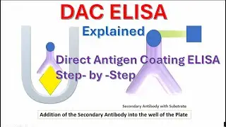 DAC ALISA, Direct Antigen Coating ELISA Explained | Step-by-Step Guide for Students