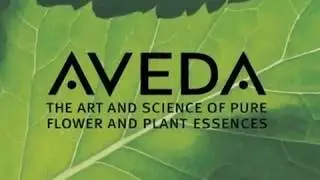 Texture-an AVEDA salon/spa