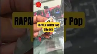 Rapala Skitter Pop Elite 9.5