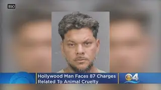 Hollywood Man Faces 87 Charges Related To Animal Cruelty, Unlawful Confinement