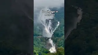 doodhsagar in monsoon #doodhsagar #goa #waterfalls #thingstodoingoa