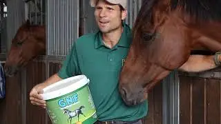 GNF used by Shane Rose - he tells us why he uses it...