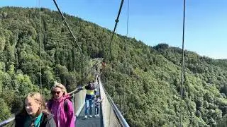 Todtnau Hängebrücke - Schwarzwald/Black Forest 4K 🌳