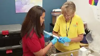 Broward County Gives Residents the Animal Care Advantage!