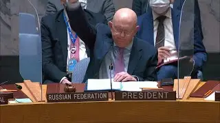 Russia vetoes UN resolution deploring 'aggression' in Ukraine | AFP