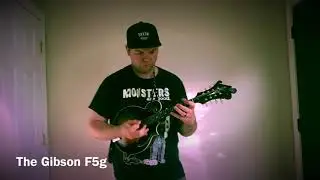 Rattlesnake mandolin / Gibson F5g / pava satin mandolin