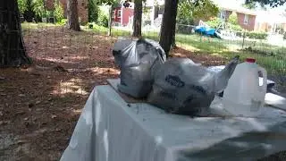Container Garden Meat Rabbit Update #35