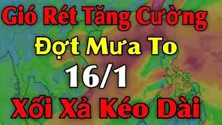 Gi&oacute; r&eacute;t tăng cường đợt mưa to xối xả k&eacute;o d&agrave;i | dự b&aacute;o thời tiết ng&agrave;y 16/1 thời tiết 10 ng&agrave;y tới