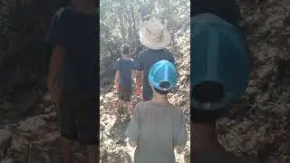 النشاير الحدادين ورتزاغ
