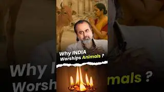Why India Worships Animals? || Acharya Prashant