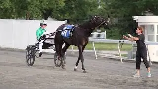 Jimmy Takter 2016 Recap