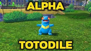 Как поймать Альфа Тотодайла в Pokemon Legends: Z-A!