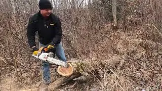 Лесозаготовка канализационных труб