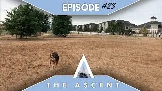 The Delicate Balance of Work & Play // THE ASCENT 023