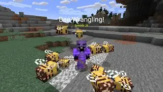 Swan Survival 1.17 - Bee Wrangling!