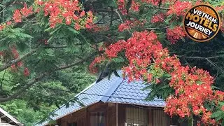 Nha Tan - Mai Chau Homestay & Tours | Mai Chau (Hoa Binh), Vietnam | Hotel Review 🏩