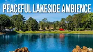 Peaceful Lakeside Road: Blue Skies & Relaxing Traffic Sounds | 61 Min 4K City Ambience | Oppa Toai