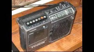 Anuncios de radio Febrero 2016-1