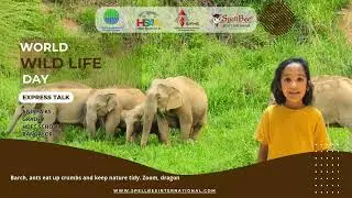 🌍✨ Express Talk: Tiny Creatures, Big Impact | Wildlife Day Special 🐝🐞🦋