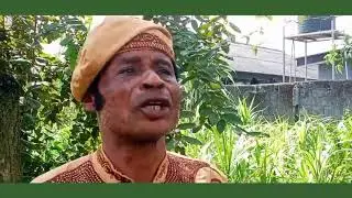 How elephant Grass, Achara affects Growth Gene by Dr Odaat. #DrOdaat