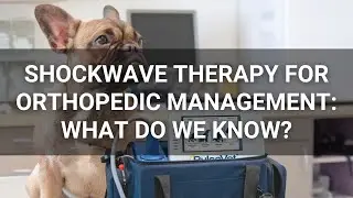 Shockwave Therapy for Orthopedic Management: What Do We Know?
