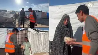 Bread Distribution (103) to the Displaced Families in Gaza