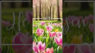 Happy Easter!🐣 #easter #jesuslovesyou #sharethemessage