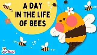 🐝 How Do Bees Make Honey? Sweet Science for Curious Kids!