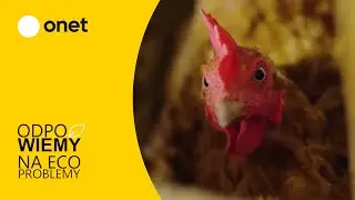 Jak segregują odpady mieszkańcy wsi? Możecie być zaskoczeni