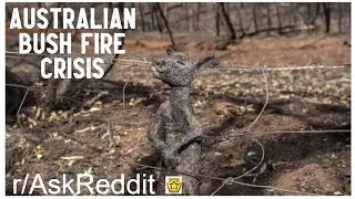 Australian Bush Fire Crisis (r/AskReddit Top Posts | Reddit Stories)
