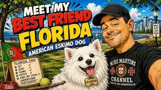 🚫American Eskimo Dog . My best friend🚫 #cutepuppy