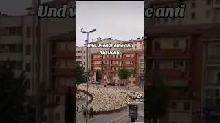 🤣 #youtube #viral #tiktok #youtubeshorts #2024 #politik #deutschland #afd #news #shortvideo #shorts
