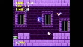 Nostalgic Roe Presents: Sonic the Hedgehog (Sega Genesis)
