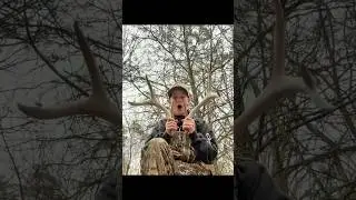 Hunters Massive 7 point set laying feet from each other!! #shedseason #bigbucks #hunting