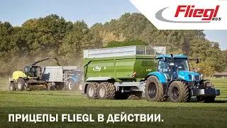 Прицепы Fliegl в действии. Маневренные, легкие, универсальные, просто незаменимые.