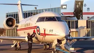 Canforce 1 Bombardier CC-144C (CL64) landing in Quebec City (YQB/ CYQB)