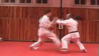 Enter the Dojo