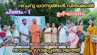 ചെറു ധാന്യ കൃഷി / താന്ന്യം പഞ്ചായത്ത് / വിത്ത് വിതക്കൽ / സീന ജയശീലൻ /+91 97441 71672