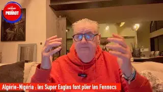 Coupe d'Afrique des Nations : les Super Eagles font plier les Fennecs