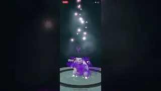 Purifying shadow blastoise then mega evolving it